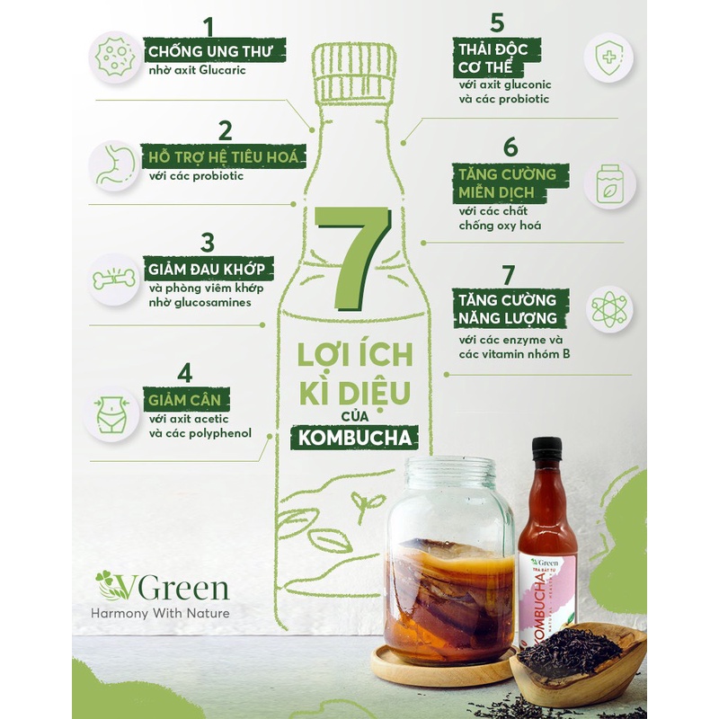 Trà Bất Tử Kombucha Đào 330ML -  Trà hoa quả lên men con giống scoby - Foodland