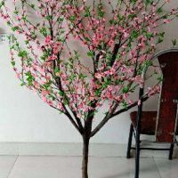 10 cành đào nụ loại 5 nhánh