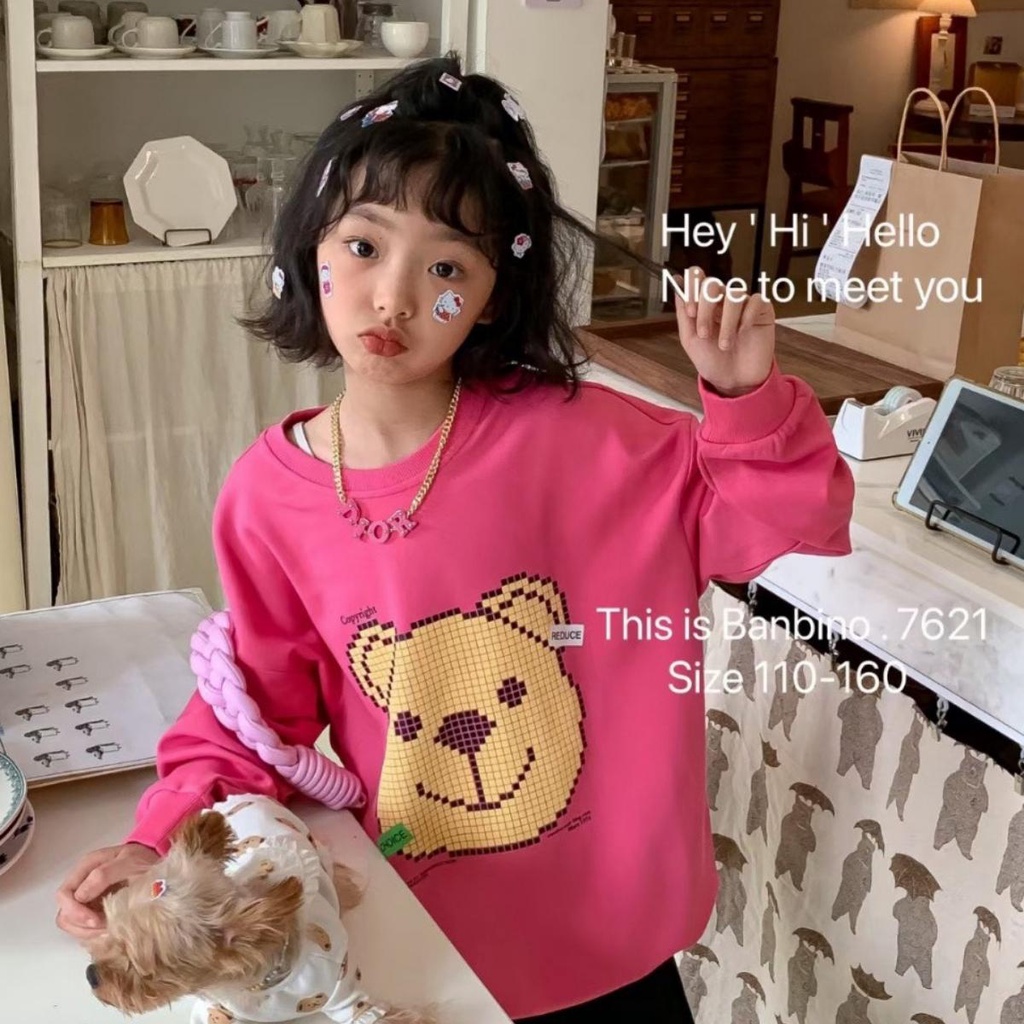 Áo sweater Banbino dài tay cho bé size đại 25-50kg áo khoác bé trai, bé gái chất cotton cao cấp 5 tuổi đến 18 tuổi T4