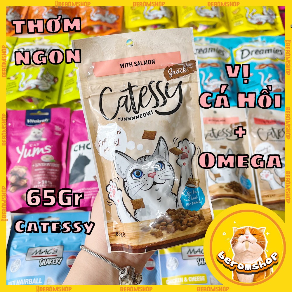 BÁNH THƯỞNG CHO MÈO CATESSY 65G 3 VỊ NHẬP ĐỨC GIÁ CỰC RẺ