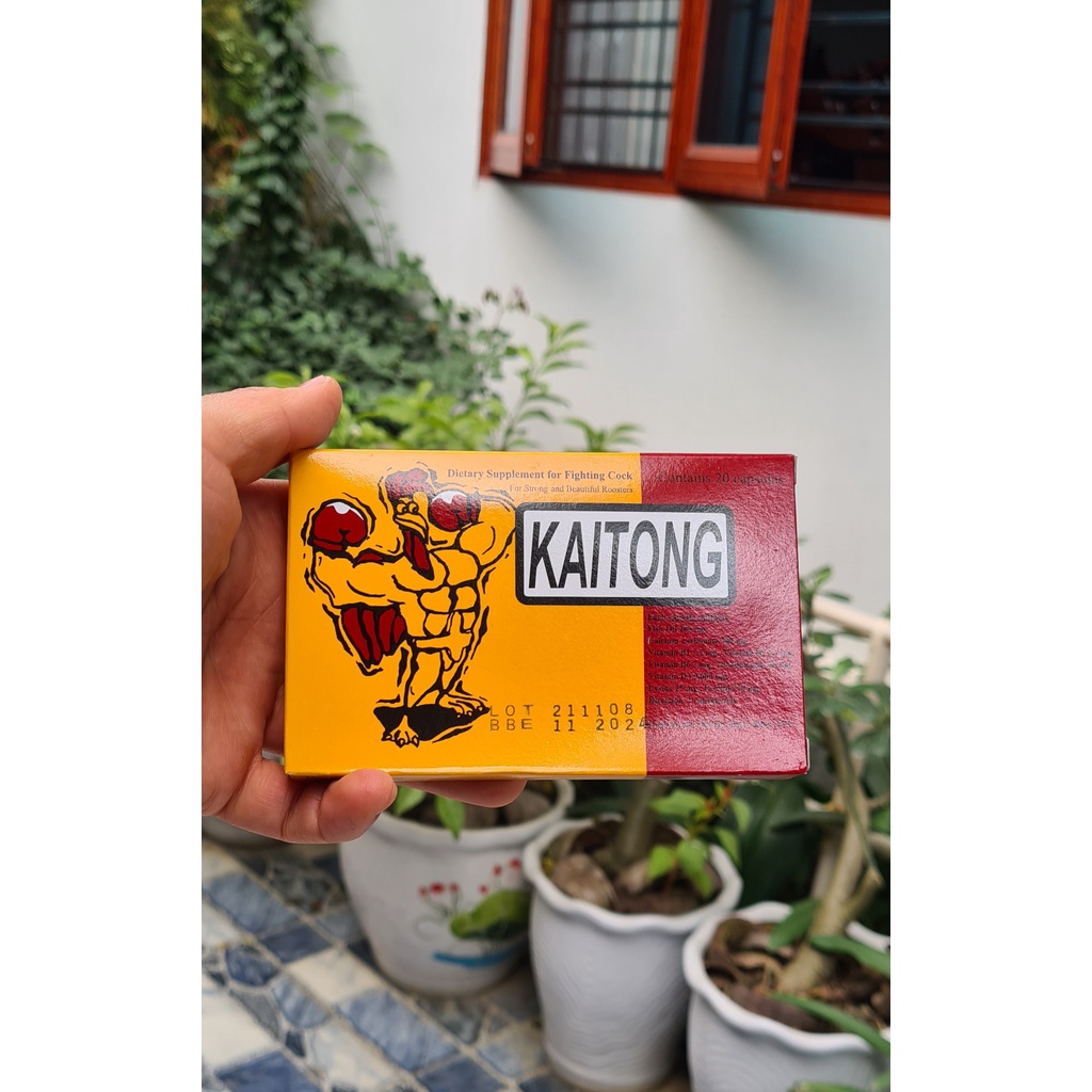 HỘP SÂM KAITONG NUÔI KÍCH LỰC CHO GÀ ĐÁ (20 viên)