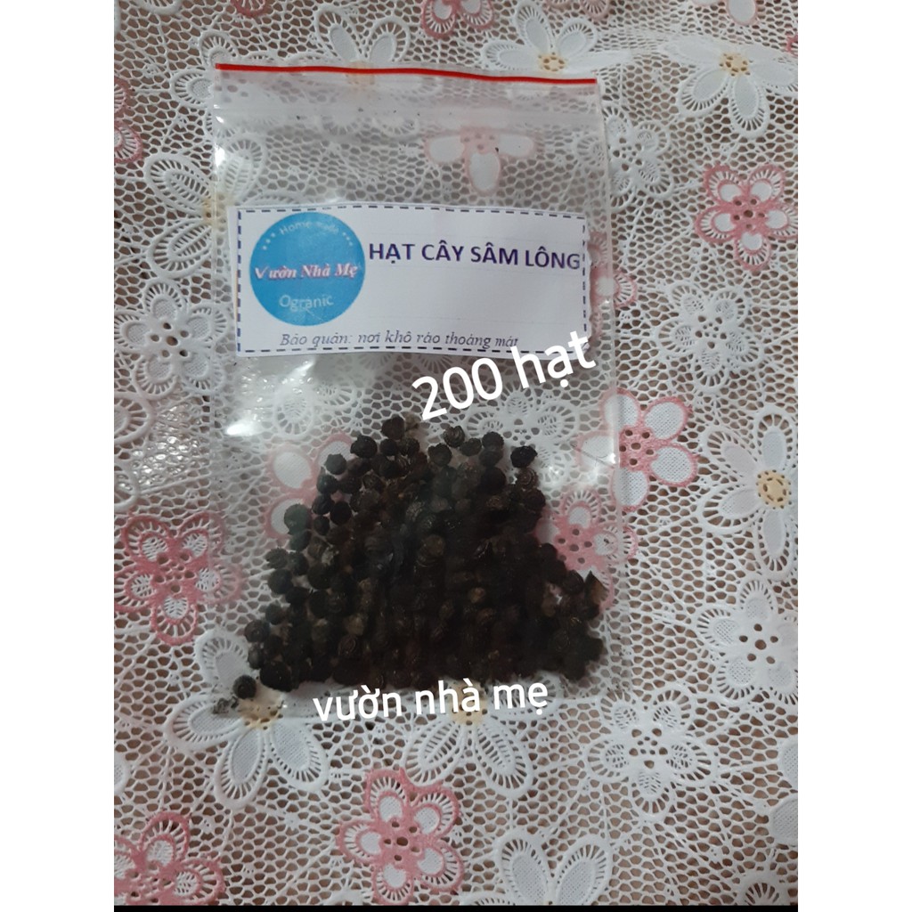Hạt cây sương sâm lông tặng kích rễ