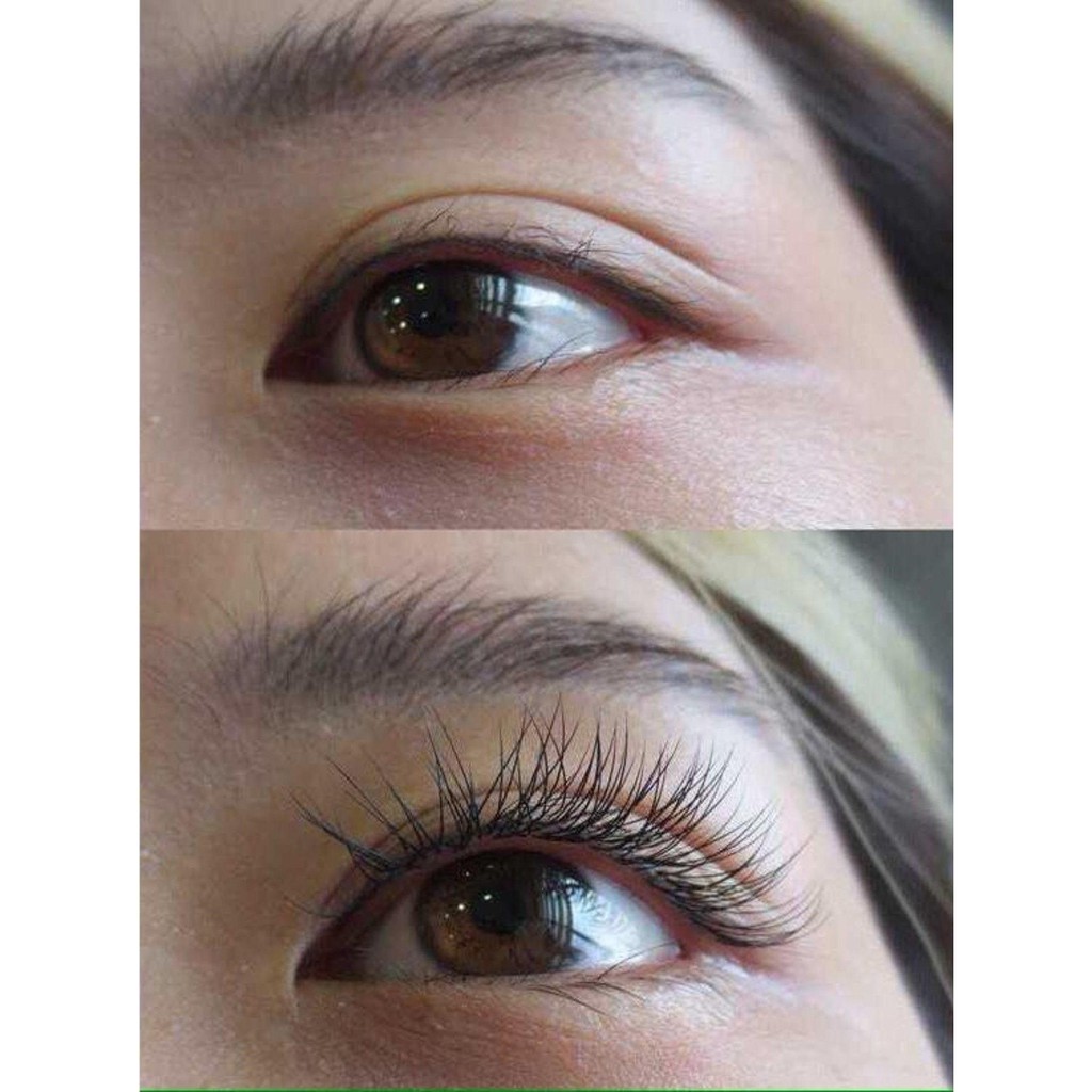 Mascara dầu dừa chuốt mi giúp mi dài, dày và đen tự nhiên GOMI | BigBuy360 - bigbuy360.vn