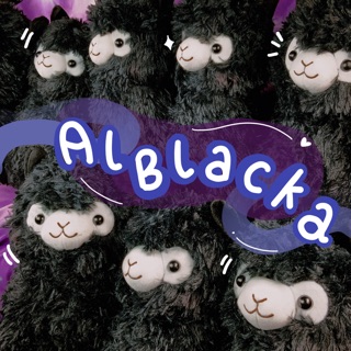 Gấu bông lạc đà cừu alpaca đen | @lomohome |