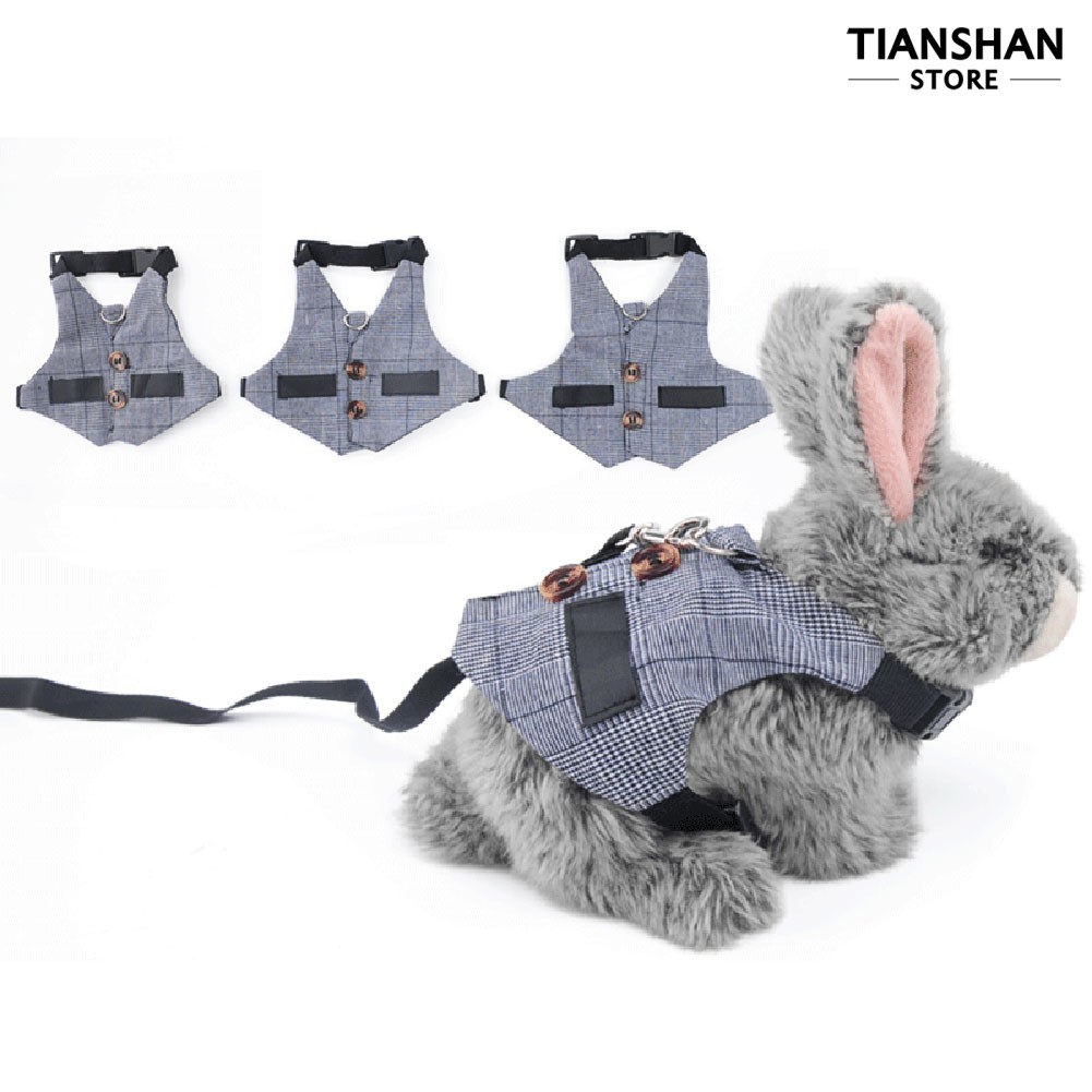 Dây đeo dắt thỏ đi dạo tiện dụng