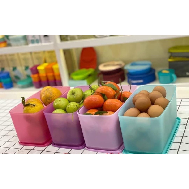Set 4 hộp ngăn mát Tupperware Funtastic - Hàng chính hãng Tupperware phân phối tại Việt Nam