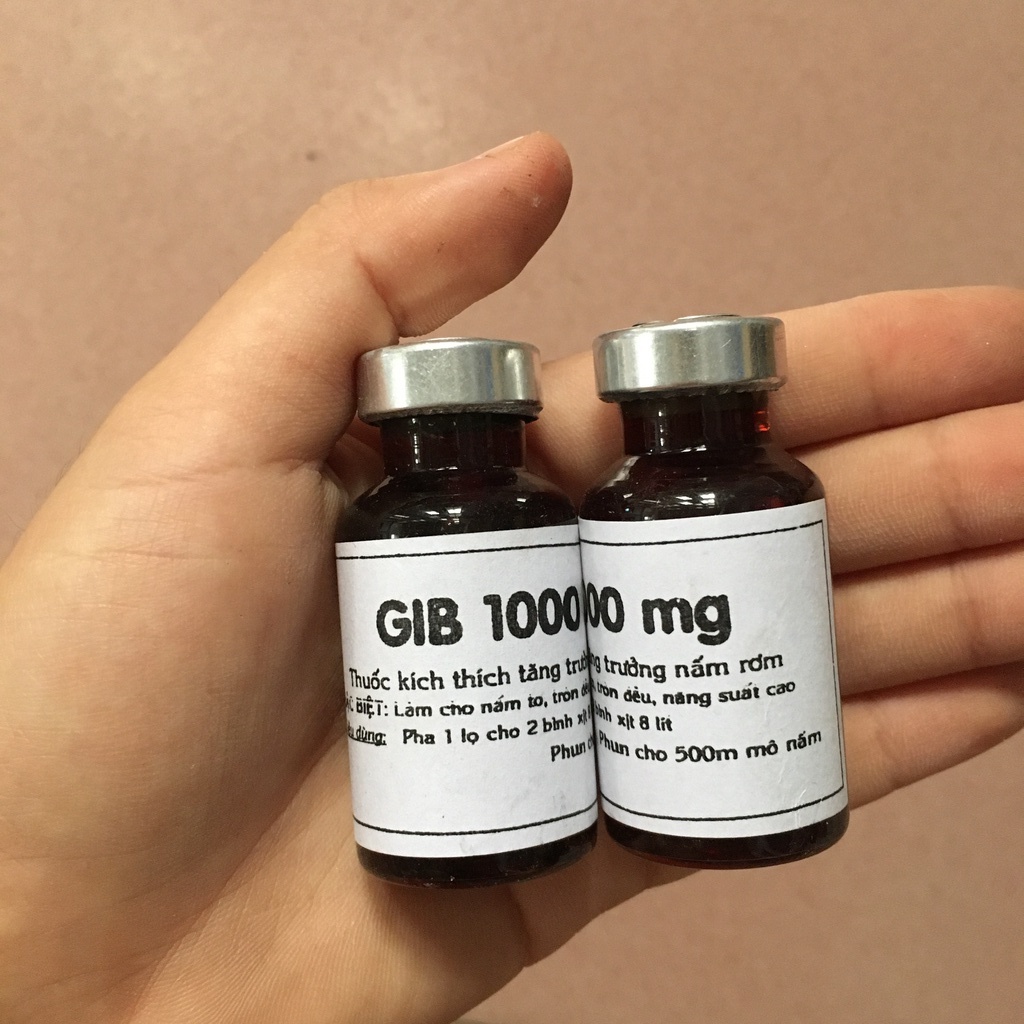 Bi dưỡng nấm rơm GIB 1000 8 Nha - Kích thích ra tơ nấm, giúp nấm mọc nhiều, tăng trưởng mạnh, tăng năng suất