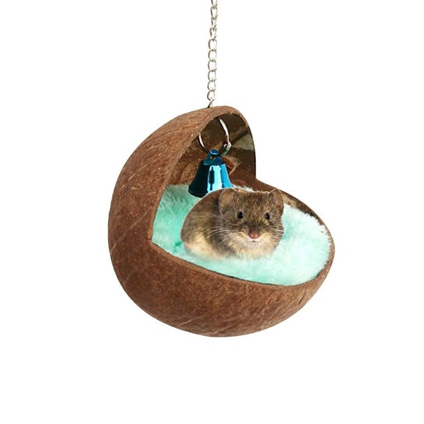 Tổ chim sóc hamster