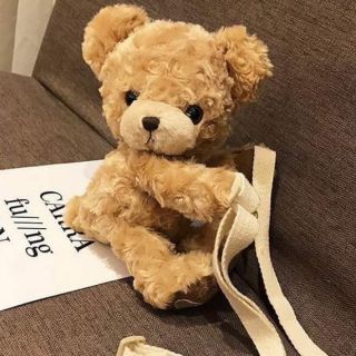 Túi gấu Teddy