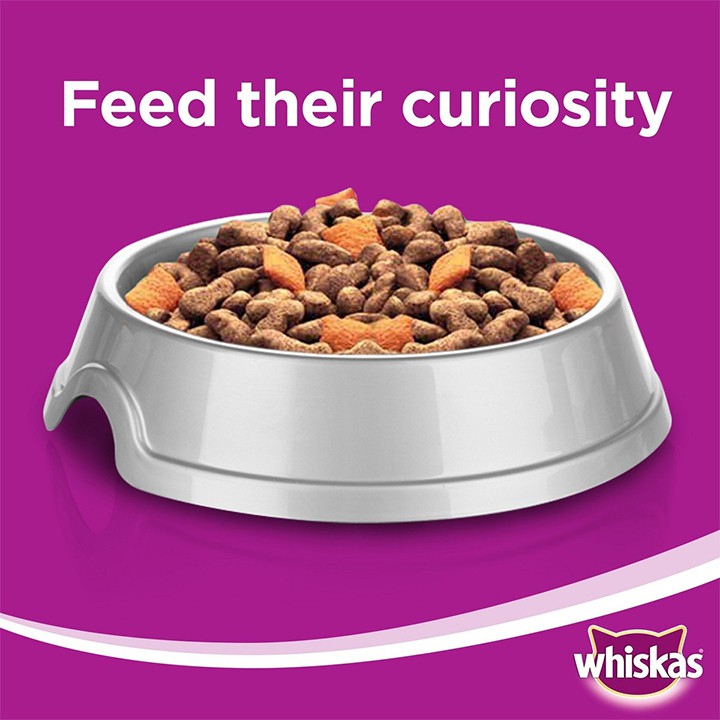 Thức Ăn Hạt Khô Cho Mèo Con Whiskas Junior Túi 1,1 Kg Giá Rẻ #MintPet
