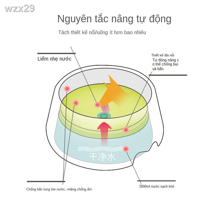 Bé Một Chú Chó Uống Bát nước cho chó, không ướt miệng, đơn nước, đựng mèo, thú cưng,