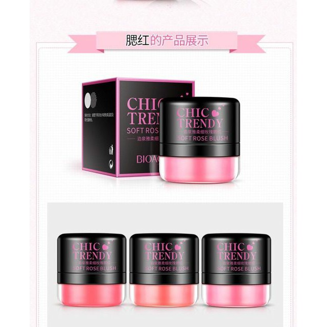 Phấn Má Hồng Chic Trendy Của Bioaqua Hàng Nội Địa Trung | BigBuy360 - bigbuy360.vn