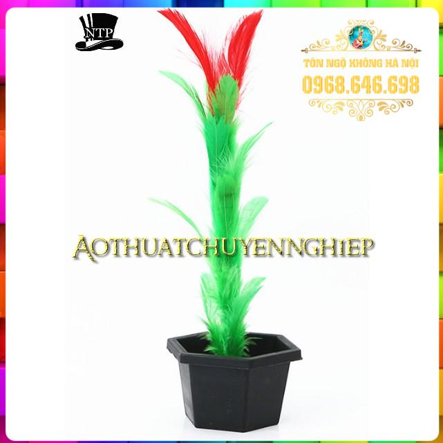 Ảo thuật đũa chậu ra hoa  - Wan To Flower