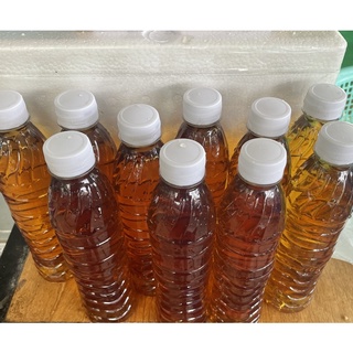 Combo 20 chai Nước Lá Bàng đậm đặc