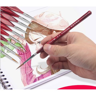 CỌ VẼ SƠN MÀU NƯỚC / CỌ TỈA CHẤT LƯỢNG