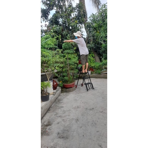 Thang đa năng 4in1