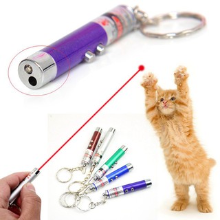 Đồ Chơi Đèn laser Cầm Tay Cho Mèo