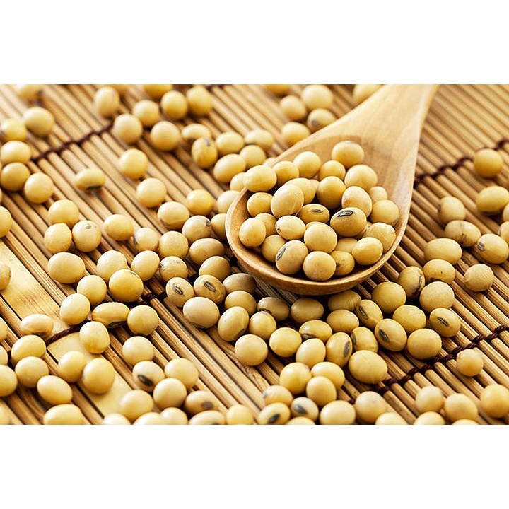500gr đậu nành Phương Lâm hạt nhỏ