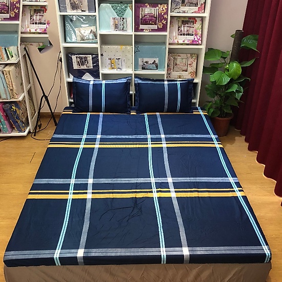 [SALE LỖ 49K]Ga trải giường bo chun 1m6x2m,được chọn nhiều mẫu[kẻ xanh đen]