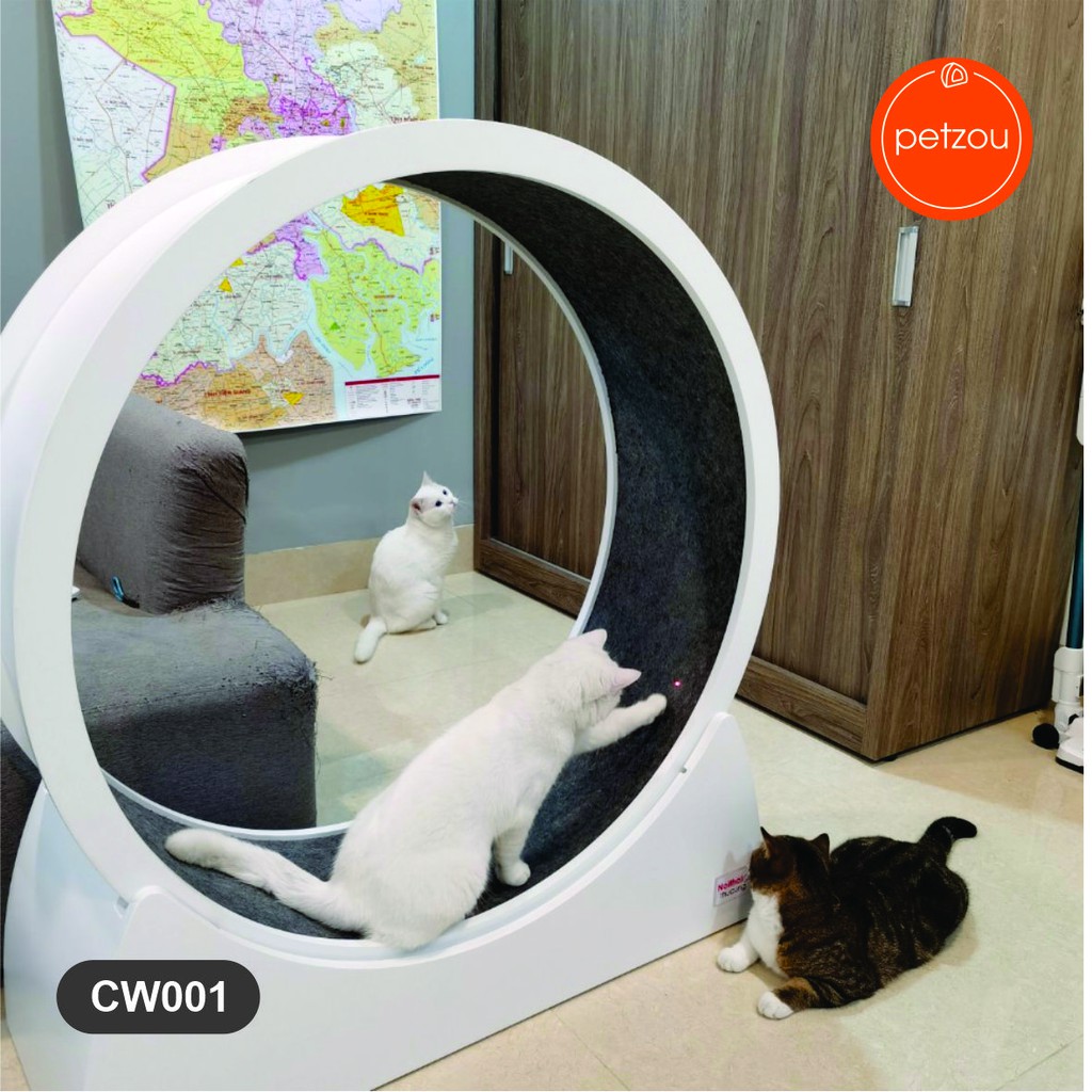 Bánh Xe Chạy Bộ Cho Mèo Catwheel CW001 – Nội Thất Thú Cưng Petzou