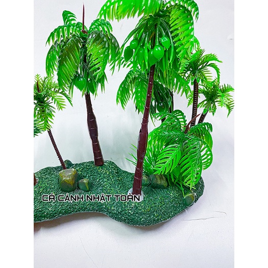 CẢNH DỪA TRANG TRÍ HỒ CÁ NON BỘ 17x6x16cm