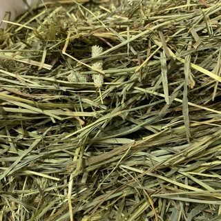 Cỏ khô Timothy Mỹ cao cấp cho Thỏ, Bọ, Sóc Bắc Mỹ,...(500gr)
