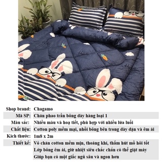 Chăn Phao poly cotton dày dặn ấm mềm mịn