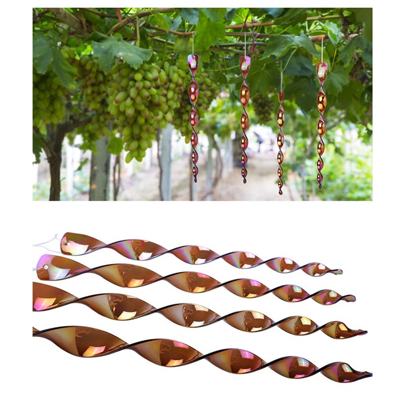 Set 6 Dụng Cụ Đuổi Chim Dạng Xoắn Ốc Tiện Lợi Sự Bảo Vệ