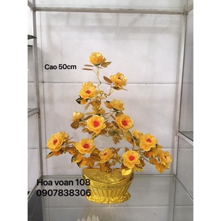 Gốc cây thỏi vàng cao 55cm