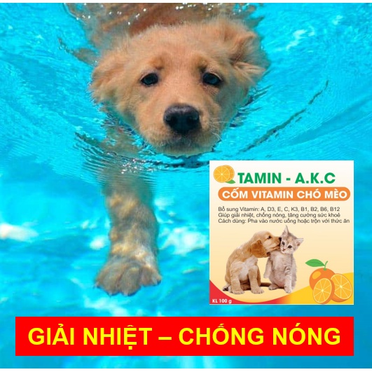 Cốm dinh dưỡng Vitamin C giúp giải nhiệt, chống nóng cho chó mèo cao cấp