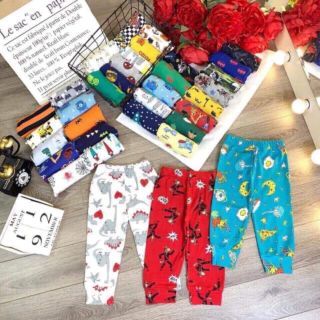 Quần chục bozip cotton
