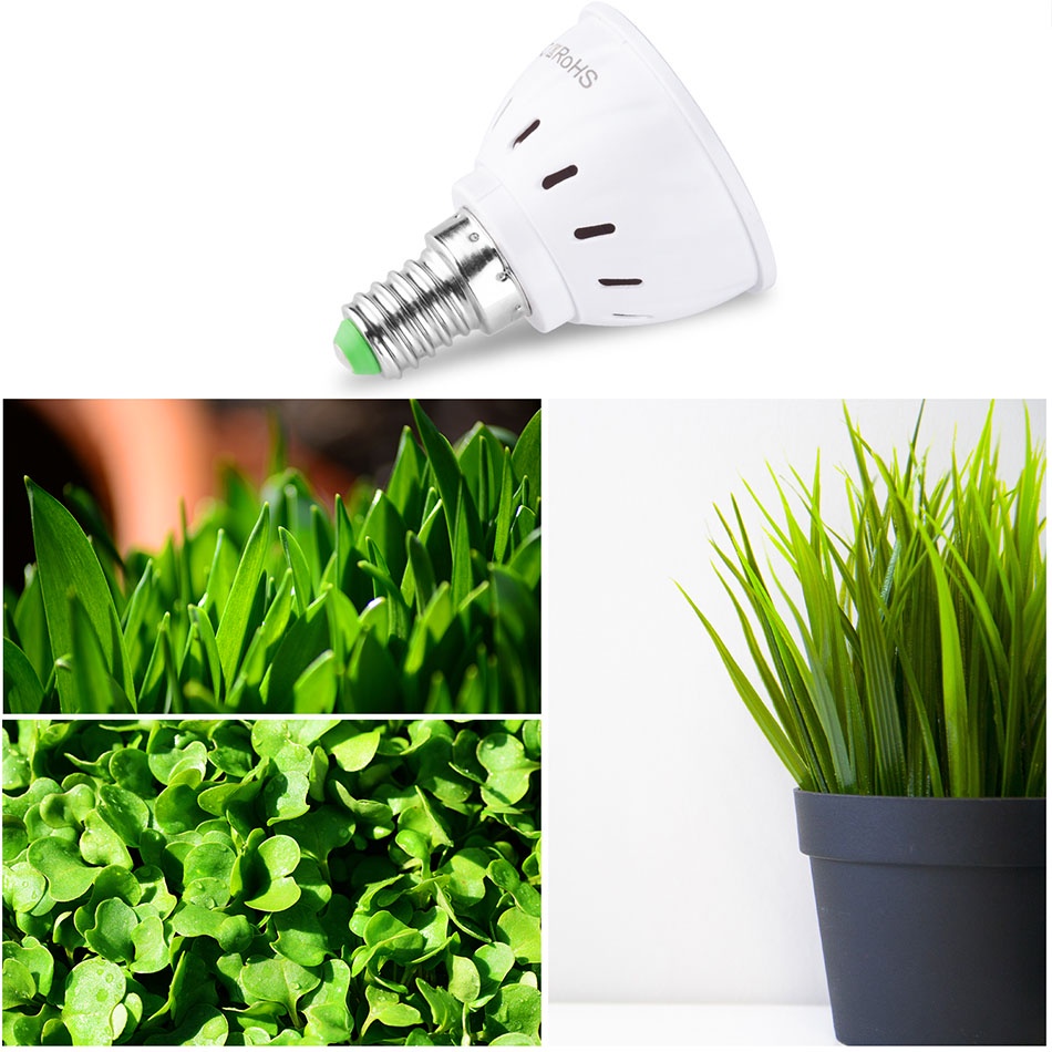 [ E27/E14 Led Hydroponic Growth Light ][Led Grow Bulb Full Spectrum lamp ][220V UV Lamp Plant lights][ Flower Seedling grow lamp ]