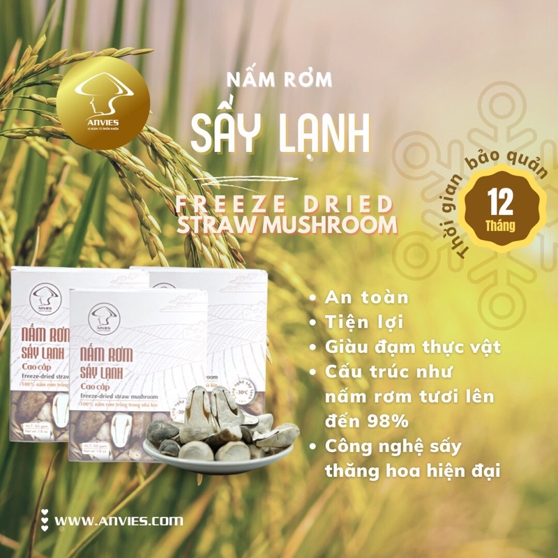 Nấm rơm sấy lạnh Anvies 50g, ngon ngọt giòn như nấm tươi, tiện lợi, bảo quản nhiệt độ thường 12 tháng