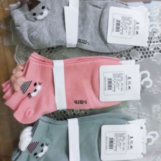 Tất gấu người lớn