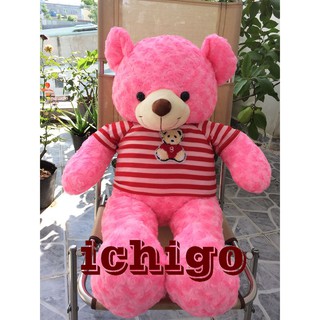 GẤU BÔNG TEDDY CAO CẤP KHỔ VẢI 1M DÀI 80CM HỒNG