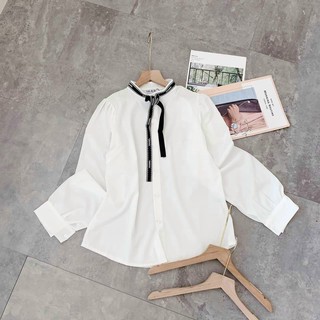 áo sơ mi trắng cổ nơ viền