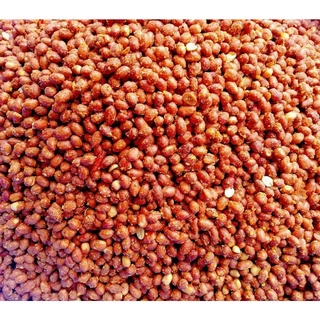 [500GR] ĐẬU PHỘNG RANG TỎI ỚT LON PET [ĂN VẶT SNACK][Có sẵn] [Rẻ vô địch] [Siêu Sale]  [Giá hủy diệt] [Ảnh thật]
