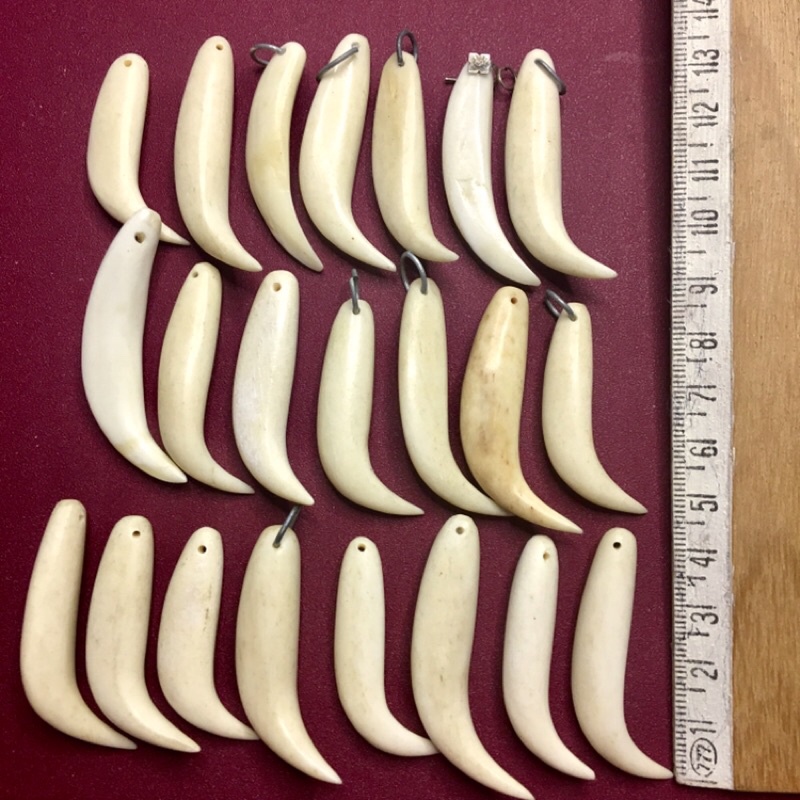 RĂNG NANH LÀM MẶT DÂY CHUYỀN