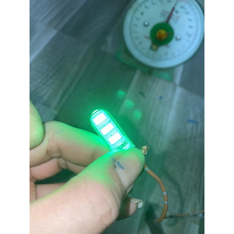 Bóng cắm 24v xanh lá led