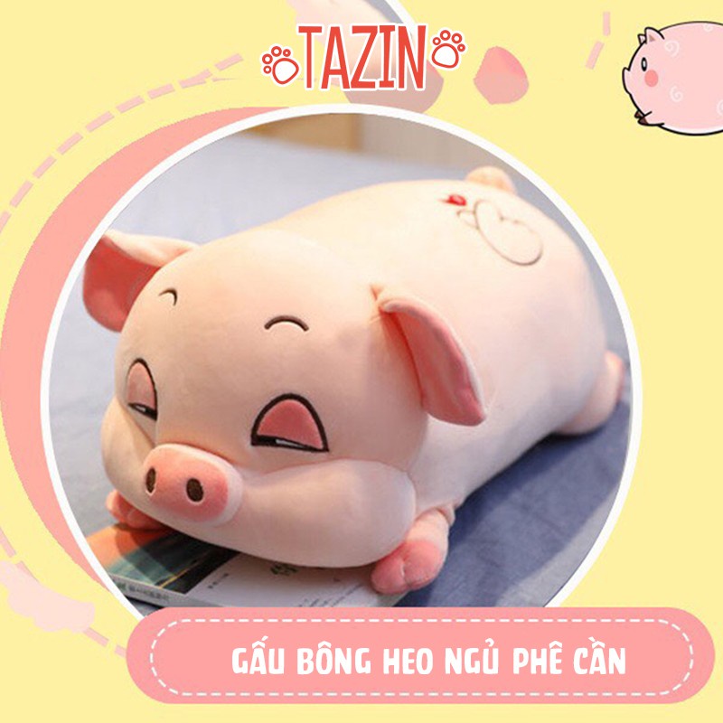 Gối ôm gấu bông gối đầu con heo lợn gối mền văn phòng, gối heo ngủ cao caấp Tazin