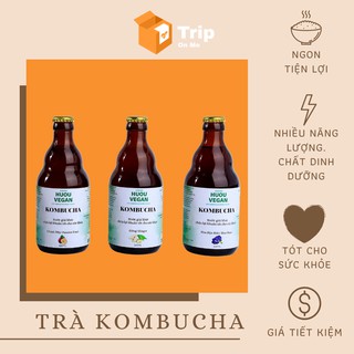 Trà Kombucha Nhiều Hương Vị (Nấm thủy sinh, nấm trường sinh, thủy hoài sâm, trà bất tử,…)