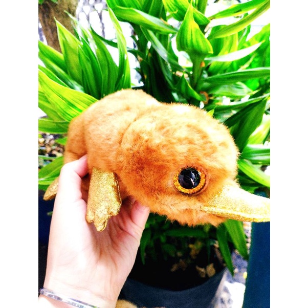 Gấu ông mắt thủy tinh size trung