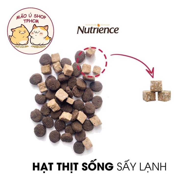 NUTRIENCE SUBZERO - HẠT THỨC ĂN CAO CẤP CHO MÈO TỪ CANADA