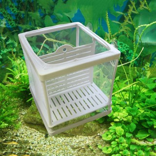 Lồng Ấp Trứng Cá 2 Tầng Linh Hoạt