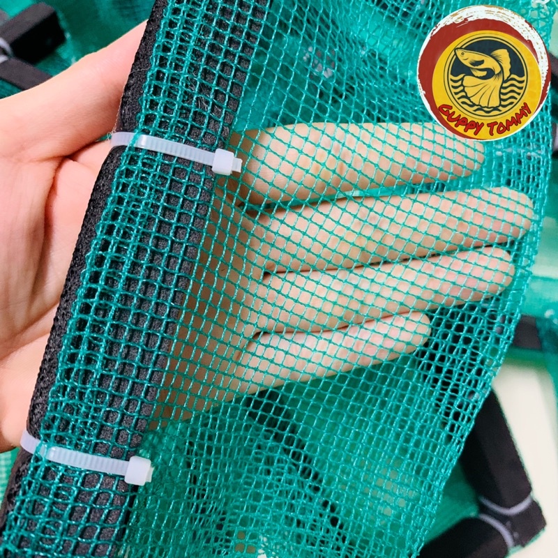 Lồng lưới 3li tách đẻ-Dưỡng cá