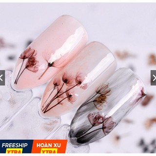 Sticker hoa lá con vật Sticker trang trí móng phụ kiện ngành nail