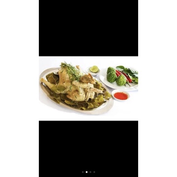 Cây chúc  tặng phân bón