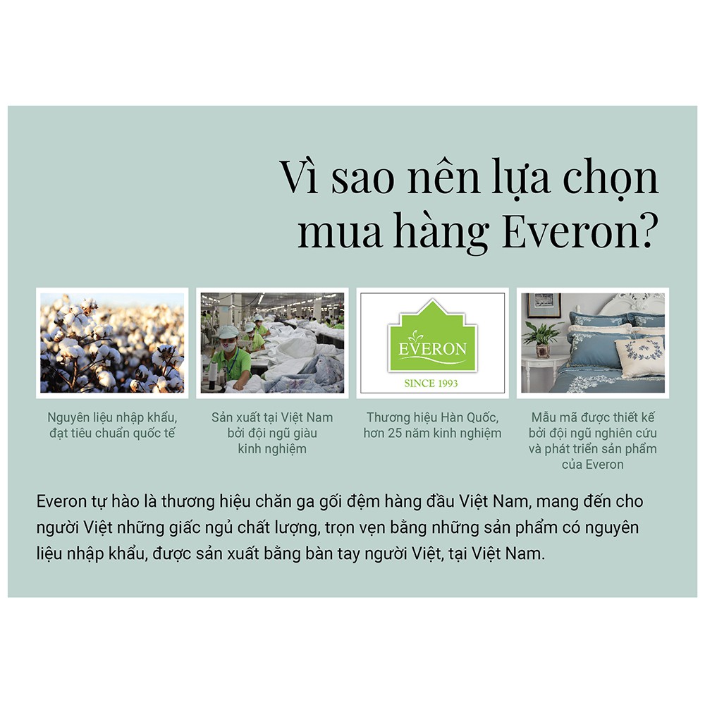 Gối than hoạt tính Everon bảo vệ cổ vai