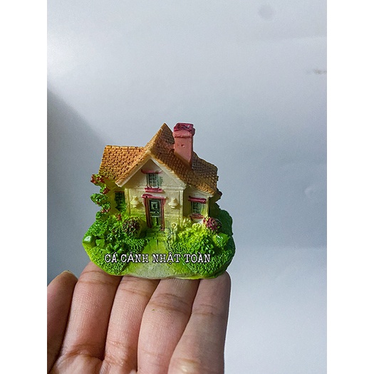 CẢNH NHÀ TRANG TRÍ HỒ CÁ NON BỘ 6X4X5CM MẪU KHÁC