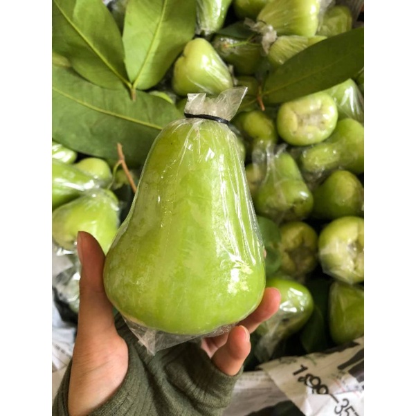 Cây Mận Xanh Tam Hoa (Roi Xanh)
